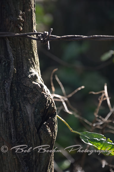 Sep232012_4086