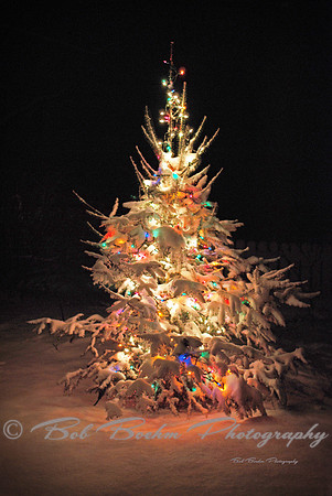 Christmas tree a