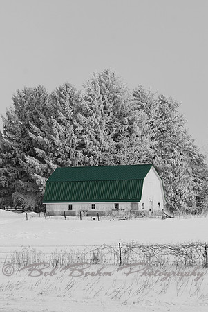 Green roof