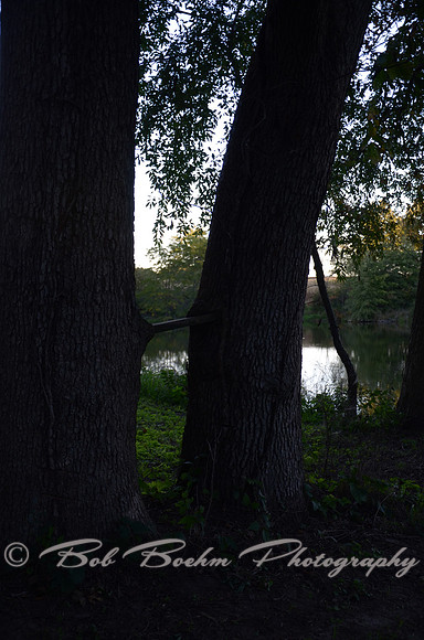 Sep232012_4135