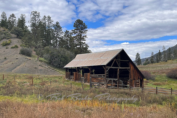 Colorado Roadside