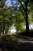 Sep232012_4078