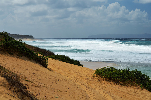 Rough Surf