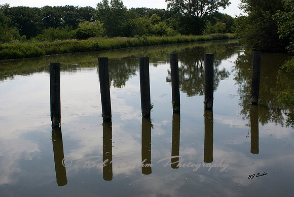 Reflections