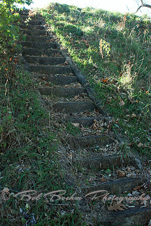 Steps