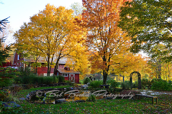 Vermont - Fall