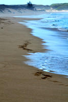 Footprints