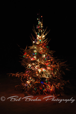 Tis The Season