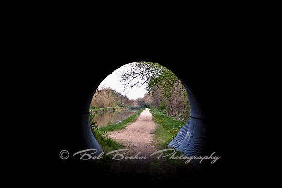 Through the Tunnel - Spring