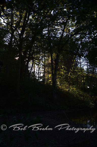 Sep232012_4101