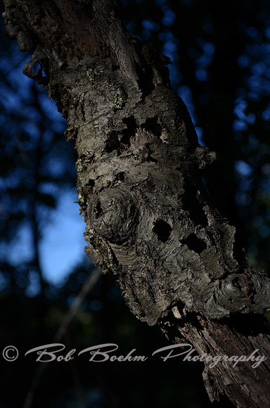 Sep232012_4114