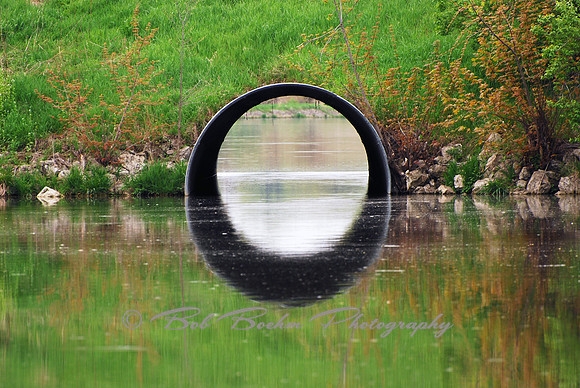 Spring Reflection