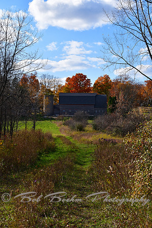 Crisp Fall Day III