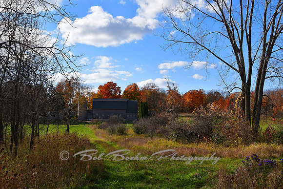 Crisp Fall Day II
