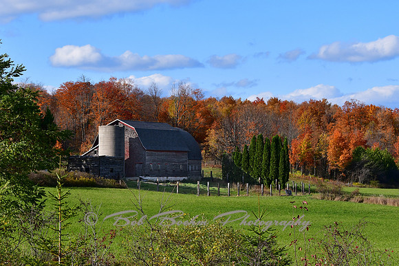 Crisp Fall Day