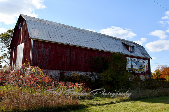 Jorn's Sugarbush Maple Syrup