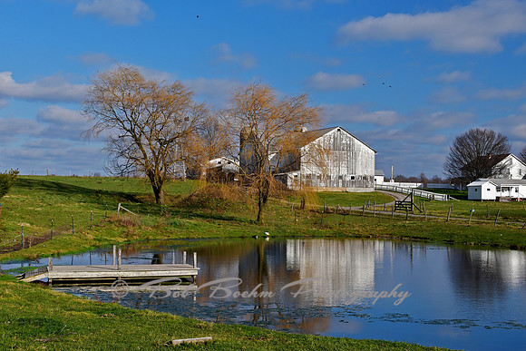 Pennsylvania Amish