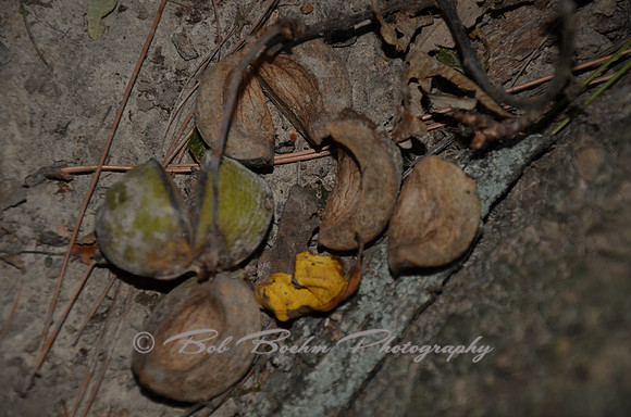 Sep232012_4107