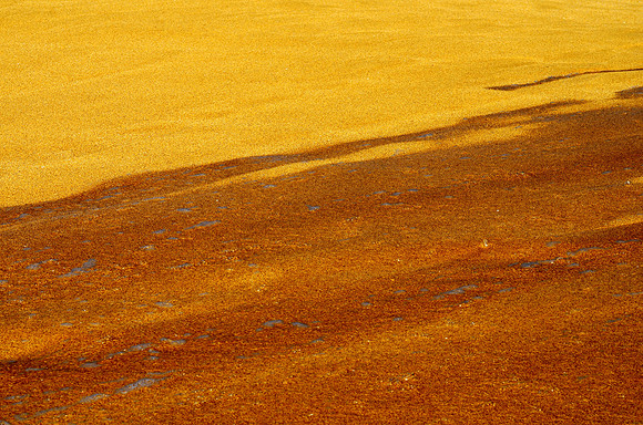 Wet Sand