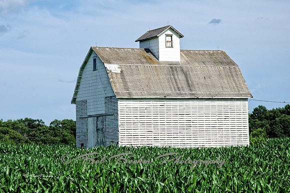 White Barn