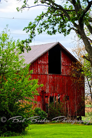 Sunny Acres