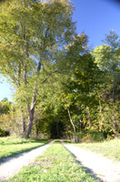 Sep232012_4080