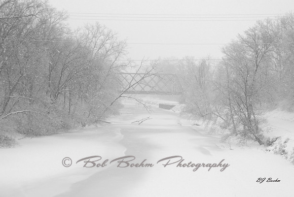 January Snow Shower
