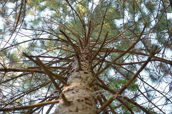 Sep232012_4116