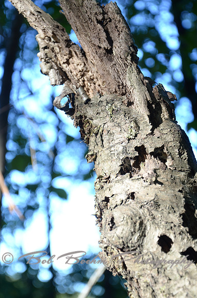 Sep232012_4115