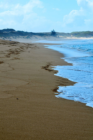 Footprints in the Sand III