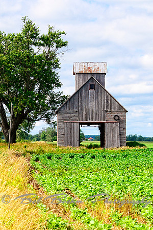Corn Crib