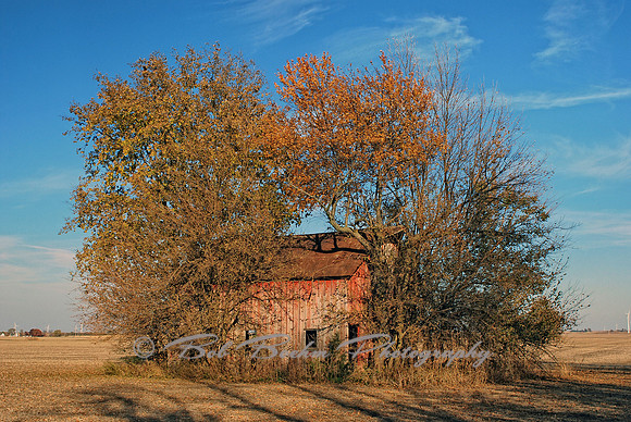Long Forgotten