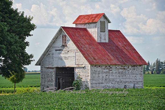Red Roof