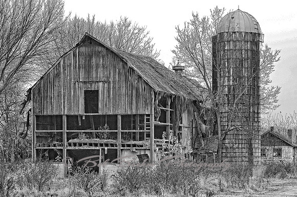 Tarp BW1