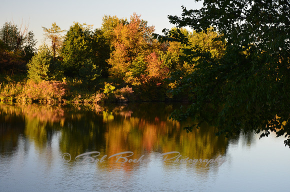 Sep232012_4125
