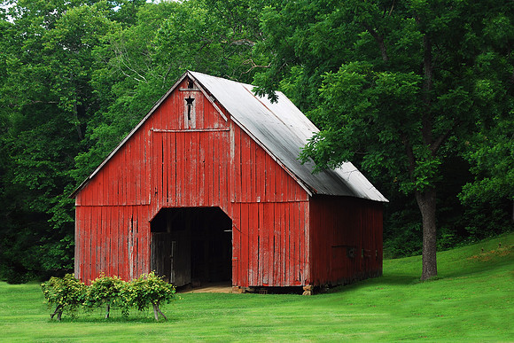 Starry Barn 2