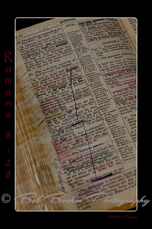Romans 8