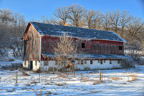 Sunny View Farm