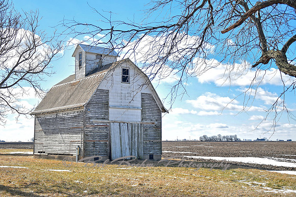 Weathered White