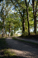 Sep232012_4087