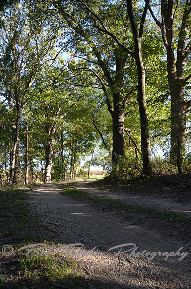 Sep232012_4087