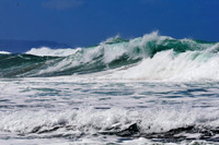 Hear The Roar of the Ocean