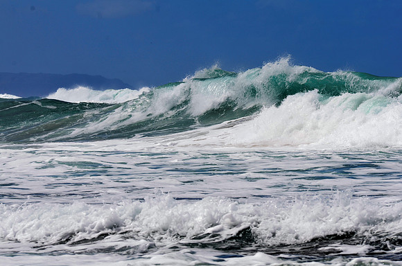 Hear The Roar of the Ocean