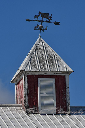 Details - Cupola & Weather Vane