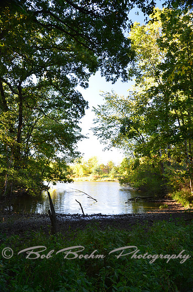 Sep232012_4096