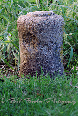 Shore Post