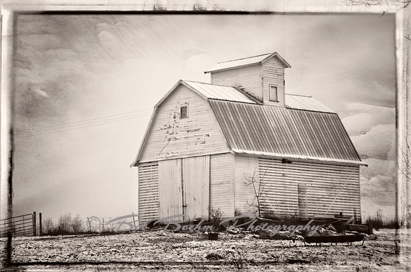 Dusted White