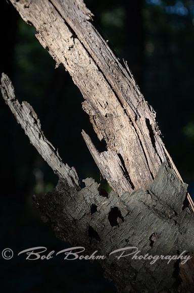 Sep232012_4113