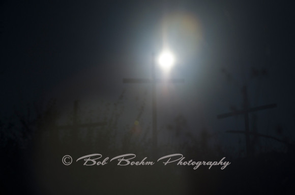 _BJB7094