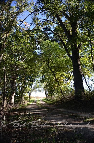 Sep232012_4079